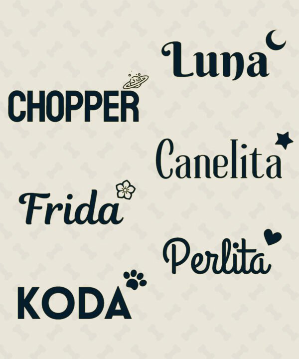 Decoracion Huesito - Acero Inoxidable